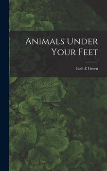 Hardcover Animals Under Your Feet Book