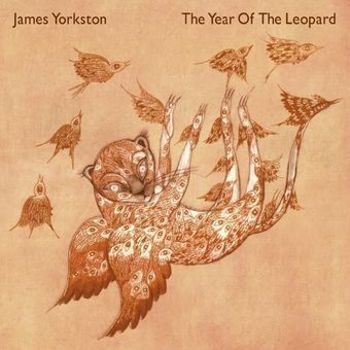 Vinyl The Year Of The Leopard Book