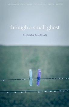 Paperback Through a Small Ghost: Poems Book