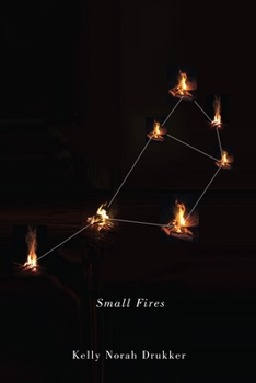 Paperback Small Fires Book