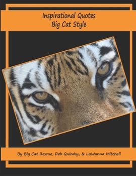 Paperback Inspirational Quotes Big Cat Style Book