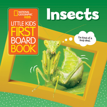 Board book Little Kids First Board Book: Insects Book