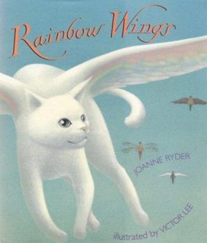 Hardcover Rainbow Wings Book