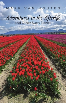Paperback Adventures in the Afterlife and Other Such Stories Book