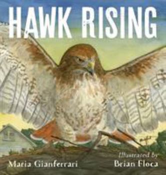 Hardcover Hawk Rising Book