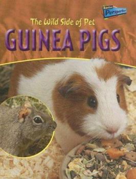 Library Binding The Wild Side of Pet Guinea Pigs Book