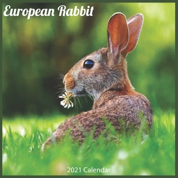 European Rabbit 2021 Calendar: Official Bunnies Wall Calendar 2021