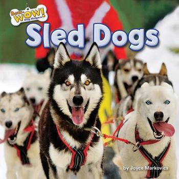 Library Binding Sled Dogs Book