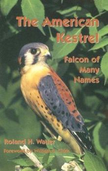 Paperback The American Kestrel: Falcon of Many Names Book