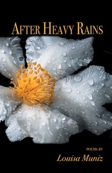 Paperback After Heavy Rains Book