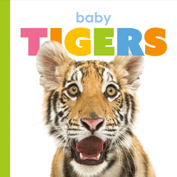 Tigres Beb�s - Book  of the Starting Out