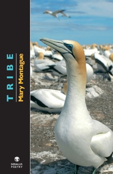 Paperback Tribe Book