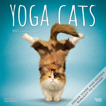 Calendar Yoga Cats 2021 Square Book