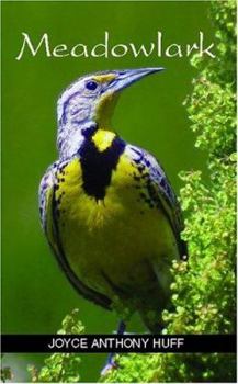 Paperback Meadowlark Book