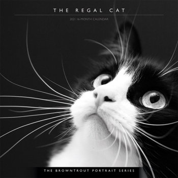 Calendar Cat, the Regal, the Browntrout Portrait Series 2021 Square Book
