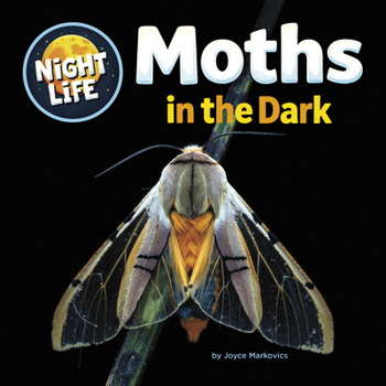 Library Binding Moths in the Dark Book
