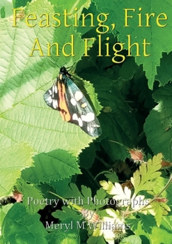 Paperback Feasting, Fire And Flight Book