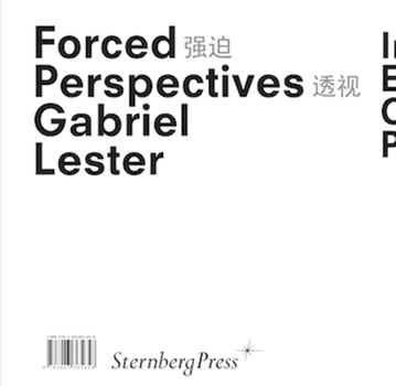 Paperback Gabriel Lester: Forced Perspectives Book