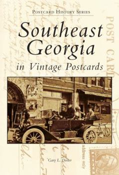 Paperback Southeast Georgia in Vintage Postcards Book