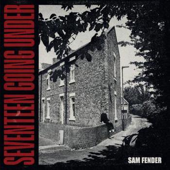 Vinyl Seventeen Going Under (LP) Book