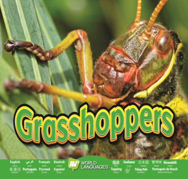 Grasshoppers - Book  of the Fascinating Insects
