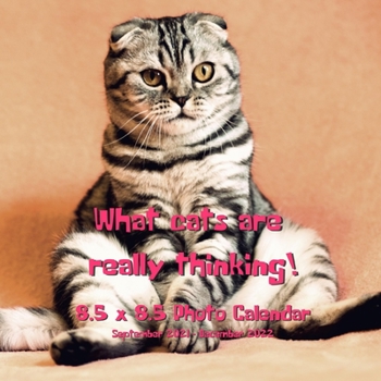 Paperback What Cats Are Really Thinking! 8.5 X 8.5 Calendar September 2021 -December 2022: Humorous Cats Calendar - Funny Cat Gifts for Cat Lovers Book