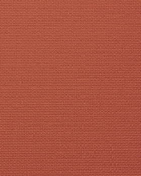 Notebook: 8 x 10 inches, lined paper, 100 pages (orange notebook/journal/composition book).