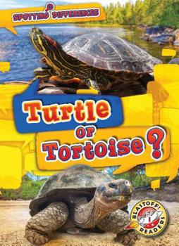 Library Binding Turtle or Tortoise? Book