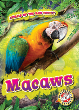 Macaws - Book  of the Scholastic: Blastoff!  Animals of the Rain Forest