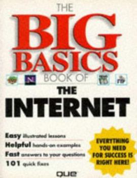 Paperback The Big Basics Book of the Internet Book