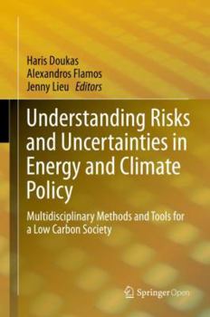 Hardcover Understanding Risks and Uncertainties in Energy and Climate Policy: Multidisciplinary Methods and Tools for a Low Carbon Society Book