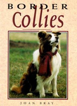 Paperback Border Collies Book