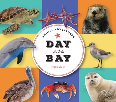 Board book Animal Adventures: Day in the Bay Book