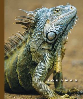 Library Binding Iguanas Book