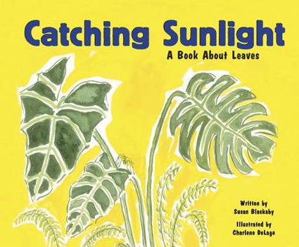 Paperback Catching Sunlight: A Book about Leaves Book