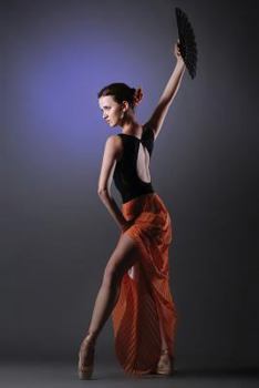 Paperback Flamenco Notebook Book