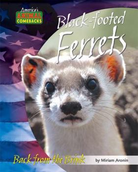 Library Binding Black-Footed Ferrets: Back from the Brink Book