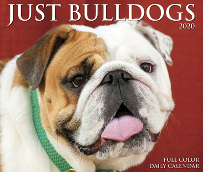 Calendar Just Bulldogs 2020 Box Calendar (Dog Breed Calendar) Book