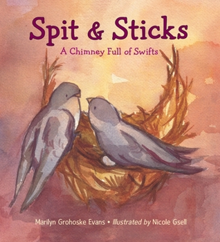 Hardcover Spit & Sticks: A Chimney Full of Swifts Book