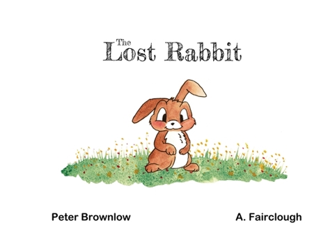 Paperback The Lost Rabbit Book