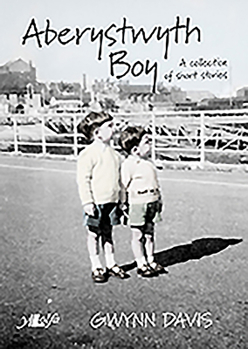 Paperback Aberystwyth Boy: A Collection of Short Stories Book