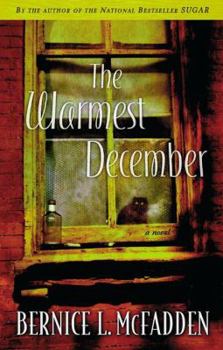 Hardcover The Warmest December Book