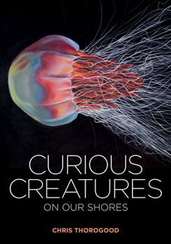 Hardcover Curious Creatures on Our Shores Book