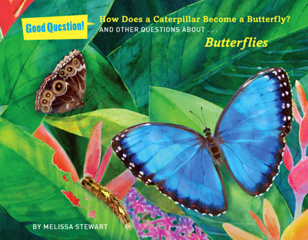 Paperback How Does a Caterpillar Become a Butterfly?: And Other Questions about Butterflies Book