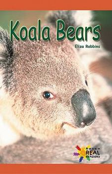Paperback Koala Bears Book