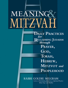 Paperback Meaning & Mitzvah: Daily Practices for Reclaiming Judaism Through Prayer, God, Torah, Hebrew, Mitzvot and Peoplehood Book