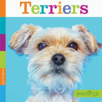 Paperback Terriers Book