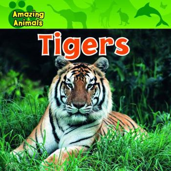 Tigers - Book  of the Amazing Animals
