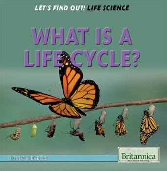 Paperback What Is a Life Cycle? Book