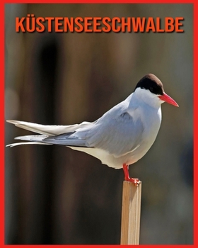 Paperback K?stenseeschwalbe: Tolle Bilder & Wissenswertes ?ber Tiere in der Natur [German] Book